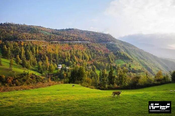 دمای گیلان افزایش می‌یابد