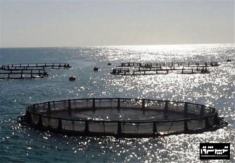 ۱۰ طرح شیلاتی گیلان در مدار تولید قرار گرفت 