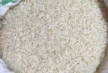 رئیس انجمن تامین کنندگان برنج عنوان کرد: متعادل شدن بازار برنج با سیاست های جدید/ مردم نگران قیمت ها نباشند