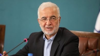 وزیر کشور: برق و گاز ۳۰۰ هزار باغ ویلایی که خالی بودند و همچنین استخرها یا مراکز تجاری پر مصرف قطع شد / آب تهران جوابگوی این جمعیت نیست