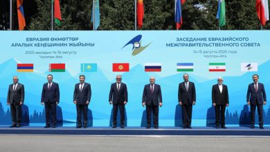 در سفر عارف به قرقیزستان چه گذشت؟