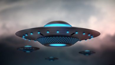 خبری عجیب اما واقعی