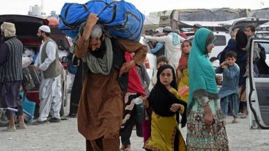 چرا اتباع غیرمجاز نرفته در فکر بازگشتاند؟