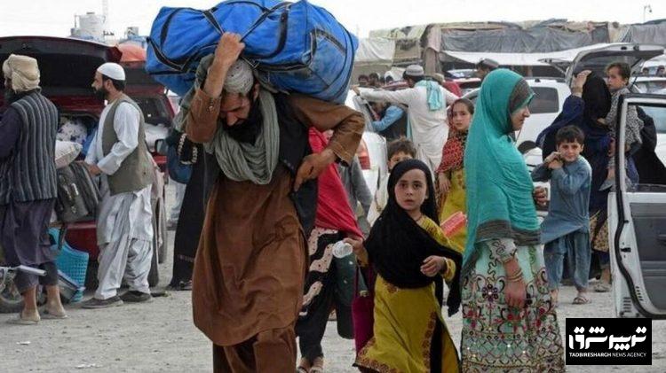 چرا اتباع غیرمجاز نرفته در فکر بازگشت‌اند؟