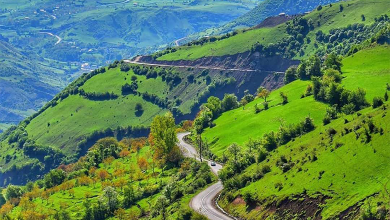 آشنایی با جاذبههای گیلان رودبار؛ سرزمین زیتونهای جاودان تا رازهای هزار ساله طبیعت