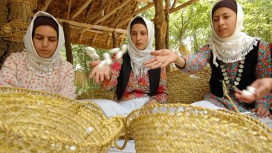 سفیرجمهوری ازبکستان در ایران: توسعه تجارت در حوزه ابریشم بین ایران و ازبکستان دنبال می‌شود