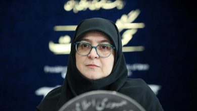 سحنگوی دولت: برگزار نشدن کنسرت همایون شجریان دلایلی داشت که خارج از اراده دولت بود