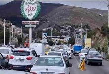 ایجاد تصادفات ساختگی برای فروختن زیتون/ ماجرا چه بود؟