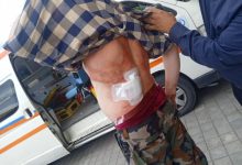 مدیرکل منابع طبیعی گیلان خبر داد: حمله با سلاح سرد به جنگلبان رودباری / ضارب تحت تعقیب است