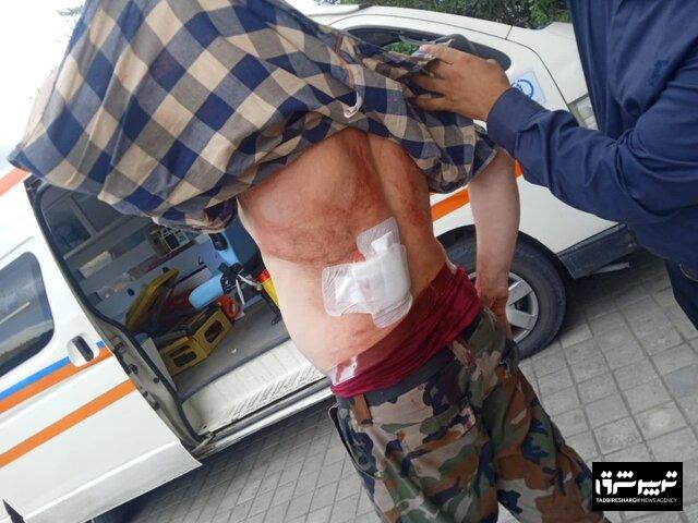 مدیرکل منابع طبیعی گیلان خبر داد: حمله با سلاح سرد به جنگلبان رودباری / ضارب تحت تعقیب است