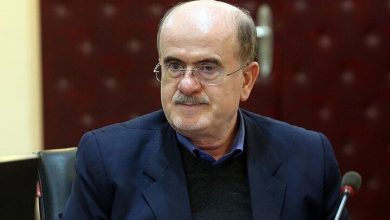 مهرداد لاهوتی نماینده مجلس: دولت پزشکیان بدشانس ترین دولت بعد از انقلاب است / چند نفری در مجلس هستند که همیشه تمایل دارند خلاف جهت آب شنا کنند