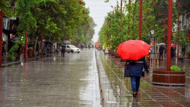 باران مهمان گیلان در روزهای پایانی تابستان
