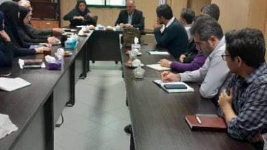 مدیر کل هماهنگی امور سرمایه گذاری و اشتغال استانداری گیلان; پژوهشکده محیط زیست می تواند نقش محوری در حل مشکلات سرمایه گذاری گیلان داشته باشد