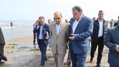 فصل صید ماهی در گیلان آغاز شد