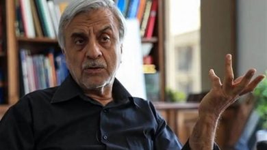 هاشمی‌طبا: باهنر آن چیزی را درمورد حجاب گفت که اکنون به آن باور دارد؛ حمله کنندگان به او بدانند که اتفاقا برادر شهید او هم اعتقاداتی اینچنین داشت و قائل به فشار بر مردم نبود