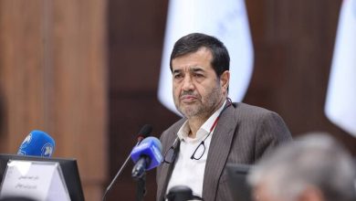 دنیا مالی: کشتی بخشی از تاریخ و فرهنگ ما است