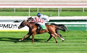 عکس| گرانترین خرید حراج فرانسویها، تولید ایران است