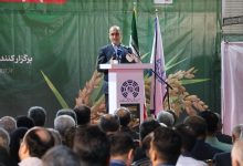 استاندار در همایش تجلیل از شالیکاران پیشرو و نمایشگاه تخصصی کشاورزی گیلان: فناوری و آموزش، کلید توسعه کشاورزی و کاهش وابستگی به واردات است