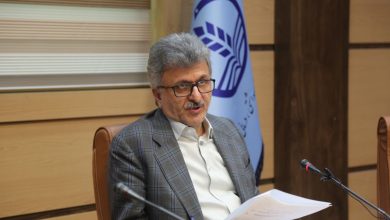کارنامه یک‌ساله دکتر آشوبی زیر ذره‌بین نقد؛ از وعده‌های ناتمام تا سقوط شاخص‌های سلامت و پژوهش