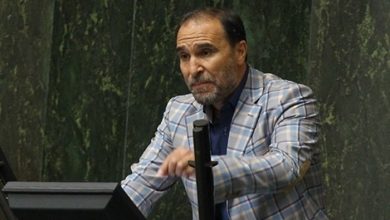 اظهارات عجیب نماینده مجلس:مردان متأهل در خیابان از همسرشان سیر میشوند، حیوان هم پوشیدهتر است!