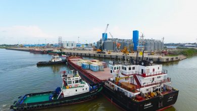 مدیرکل صمت: ۵۰ درصد هدفگذاری صادراتی گیلان محقق شده است