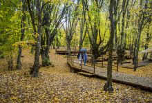رئیس مرکز سرمایه‌گذاری وزارت میراث فرهنگی: فاز نخست اکو پارک سیاهکل تا ۹ ماه آینده به بهره‌برداری می‌رسد