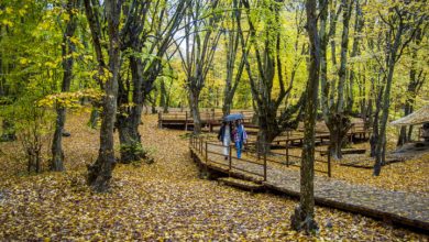رئیس مرکز سرمایهگذاری وزارت میراث فرهنگی: فاز نخست اکو پارک سیاهکل تا ۹ ماه آینده به بهرهبرداری میرسد