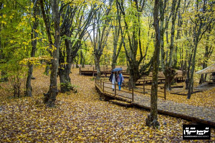 رئیس مرکز سرمایه‌گذاری وزارت میراث فرهنگی: فاز نخست اکو پارک سیاهکل تا ۹ ماه آینده به بهره‌برداری می‌رسد