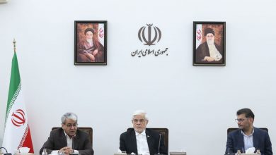 عارف: دولت حق ندارد خلاف منویات مردم کاری کند/ شناسایی ۴۰ نظام مسائل کشور