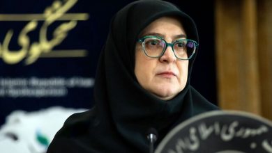 مهاجرانی: هرگونه خطای دشمن، با پاسخ شدیدتر مواجه میشود