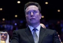 ایلان ماسک: در آینده، مفهوم پول ارزش خود را از دست می‌دهد / کار کردن، اختیاری خواهد شد؛ مانند کسی که دوست دار دبه جای خرید سبزیجات، آنها را در حیاط خانه بکارد