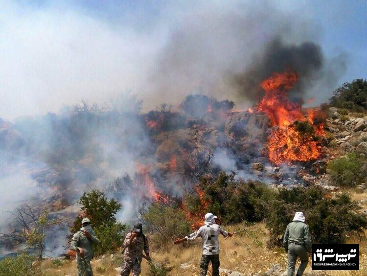 رئیس سازمان جنگل‌ها: به احتمال بسیار زیاد منشأ آتش‌سوزی جنگل هیرکانی در منطقه الیت چالوس انسانی است