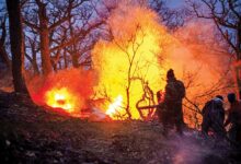 رئیس سازمان مدیریت بحران: عملیات اطفای آتش در جنگل الیت بسیار موفقیت آمیز بود