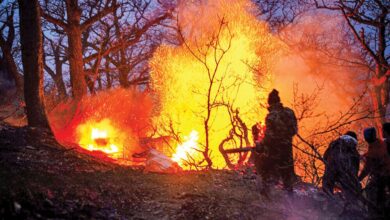 رئیس سازمان مدیریت بحران: عملیات اطفای آتش در جنگل الیت بسیار موفقیت آمیز بود