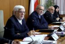 رئیس شورای اطلاع رسانی دولت خبر داد: ابلاغیه رهبری به دولت درمورد حجاب