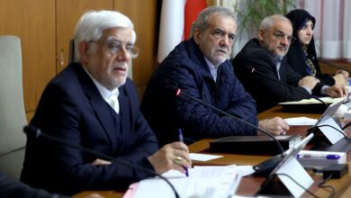 رئیس شورای اطلاع رسانی دولت خبر داد: ابلاغیه رهبری به دولت درمورد حجاب