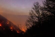 عامل آتش‌سوزی جنگل‌های هیرکانی در بابل دستگیر شد