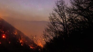 عامل آتشسوزی جنگلهای هیرکانی در بابل دستگیر شد