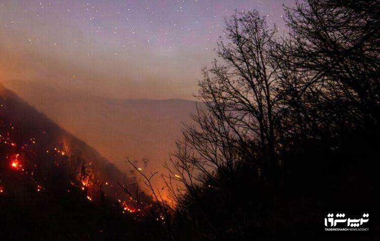 عامل آتش‌سوزی جنگل‌های هیرکانی در بابل دستگیر شد