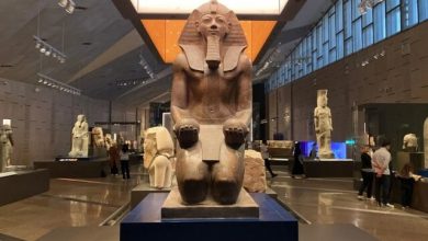 گنجینه دیدهنشده فرعون رونمایی شد