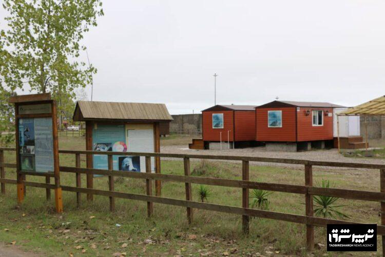 افتتاح نخستین مرکز تخصصی حفاظت تیمار فوک خزری