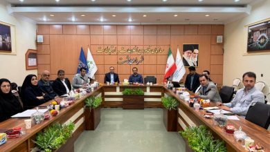 شهردار رشت مطرح کرد؛ آغاز طرح کاشت انبوه درختان بومی در سطح شهر با هدف بهبود چشمانداز شهری و ارتقای کیفیت محیط زیست