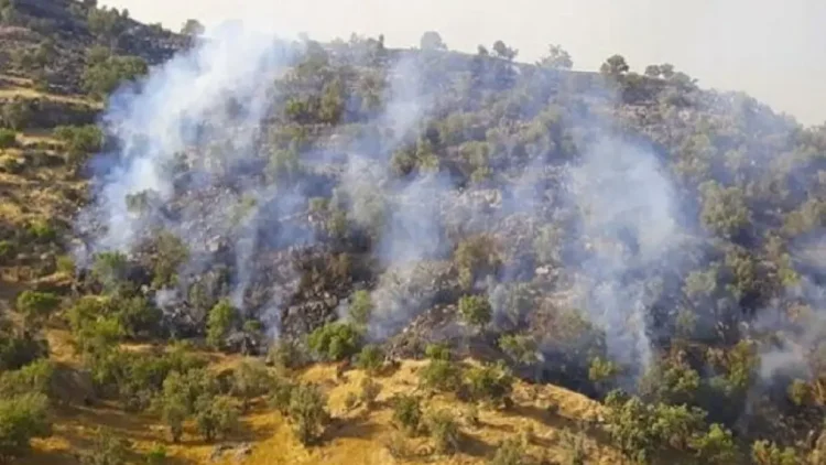 مدیرکل منابع طبیعی گیلان: حریق دوهکتاری در جنگل های آستارا مهار شد