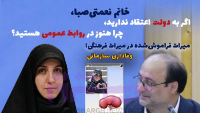 خانم نعمتی‌صبا، اگر به دولت اعتقاد ندارید، چرا هنوز در روابط عمومی هستید؟