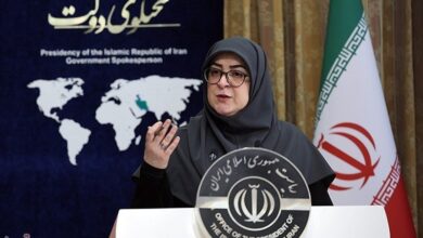 سخنگوی دولت: اعتراضات را به رسمیت میشناسیم/ راهکار تامین معیشت فردا تصویب میشود