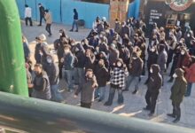 دانشگاه تهران: تمامی دانشجویان بازداشتی تجمع روز گذشته که ۴ نفر بودند، آزاد شدند