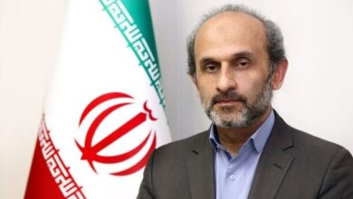 جبلی: شبکه نمایش خانگی به ابزار جلوگیری از تخلف نیاز دارد