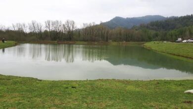 لایروبی ۱۲ هکتار از آب بندان های کشاورزی رضوانشهر