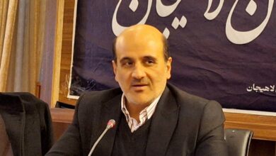 لاهیجان؛ قطب ارزآوری کشاورزی و صادراتی گیلان با تکیه بر چای، صنایع غذایی و خدمات تجاری