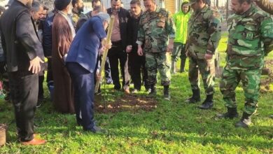 مدیرکل منابع طبیعی استان خبر داد: کاشت ۱۷ میلیون اصله نهال در گیلان